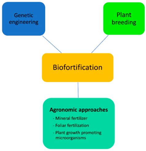 Plants | Free Full-Text | Biofortification of Pulse Crops: Status and Future Perspectives