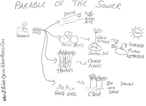 Parable of the Sower | Parables, Sower, Bible parables