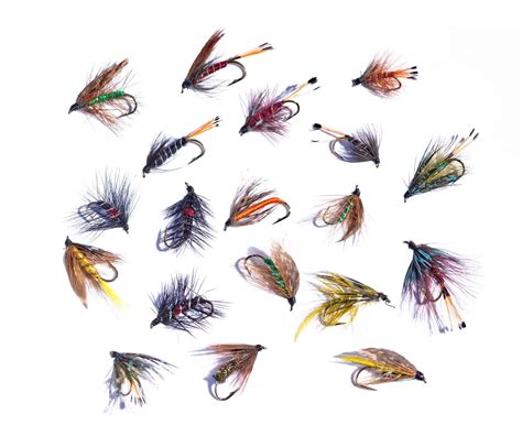 Fly Fishing Patterns For Trout [Productive Flies that Stand the Test of Time] - Southern Trout