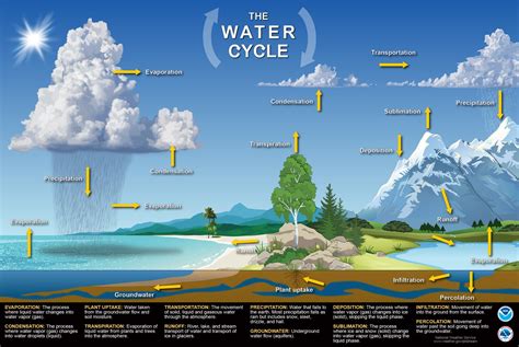 上 draw a model of photosynthesis and cellular respiration 200073-Drawing of photosynthesis and ...