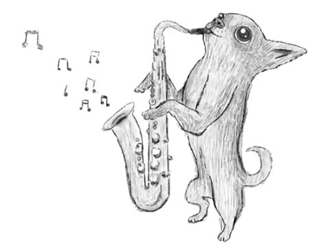 Saxophone Chihuahua | Fandom