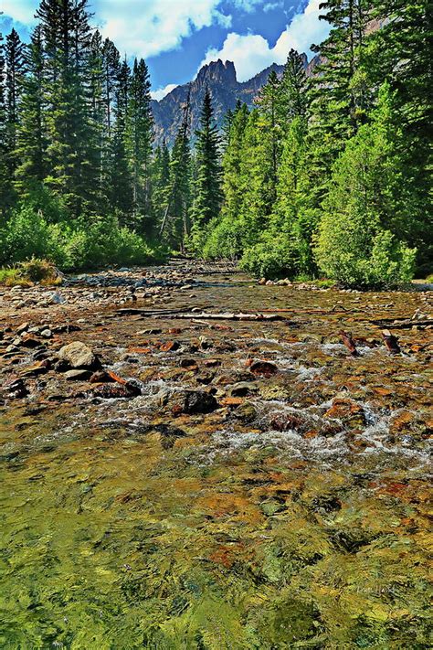 River Mouth Flowing Into Red Fish Lake Photograph by Russ Harris - Fine Art America