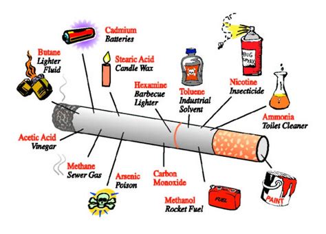 Information world: History and Health Effects of Smoking {Tobacco}