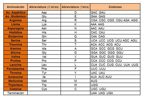 Tabla de Aminoácidos con los codones 5to ABC