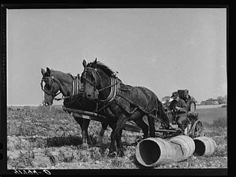 20 Farm Horses From the Past - Modern Farmer