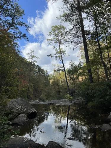 10 Best Hikes and Trails in Talladega National Forest | AllTrails