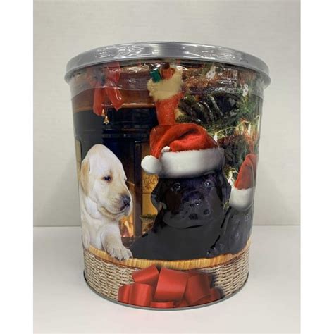 GOURMET SELECT Holiday Popcorn Tin, 18oz - Walmart.com - Walmart.com