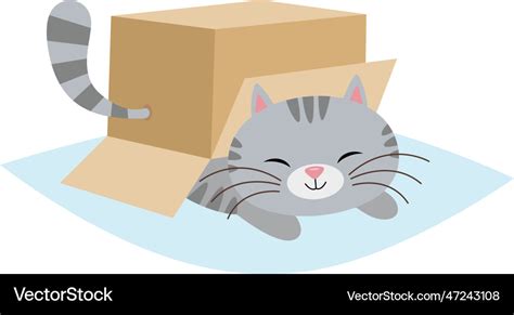 Cute cat under cardboard box Royalty Free Vector Image