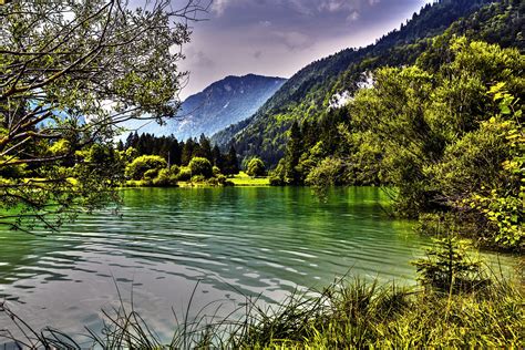 Kreda Lake, Triglav National Park. Slovenia Foto by: www.iztokkurnik.com (With images ...