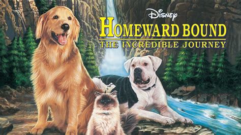 Homeward Bound: The Incredible Journey 1993 Disney Film