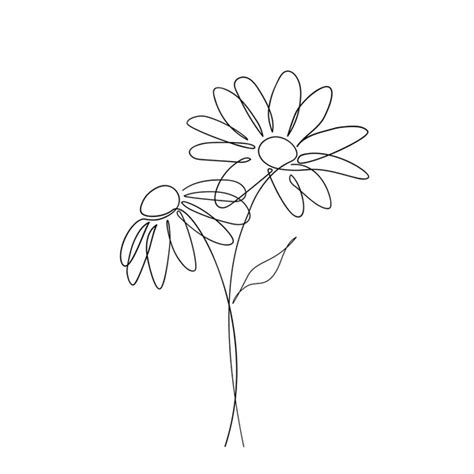 879 Continuous Line Drawing Daisy Stock Vectors and Vector Art ...