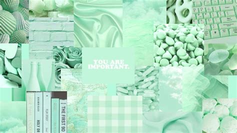 Download Pastel Green Background Photo Compilation | Wallpapers.com
