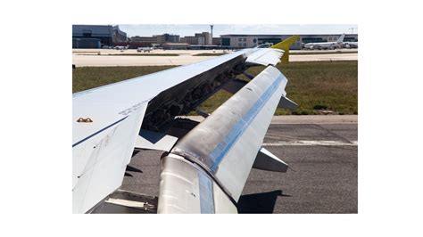 Wing Flaps: How Do They Function and What Is Their Purpose?