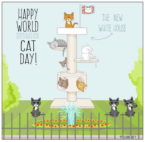 Cat eCards - World Cat Day Card