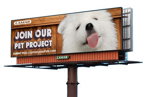 Customize Billboard Design Of Your Pet: Displayed on Lamar Digital ...