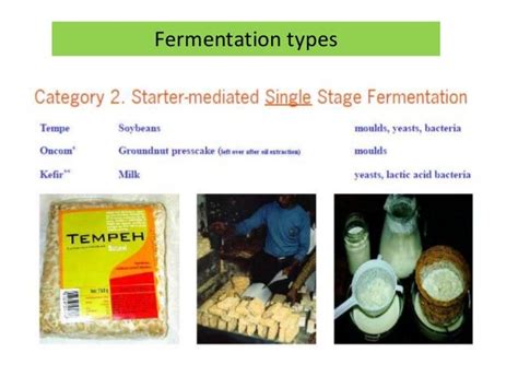 Fermentation types for Food Products