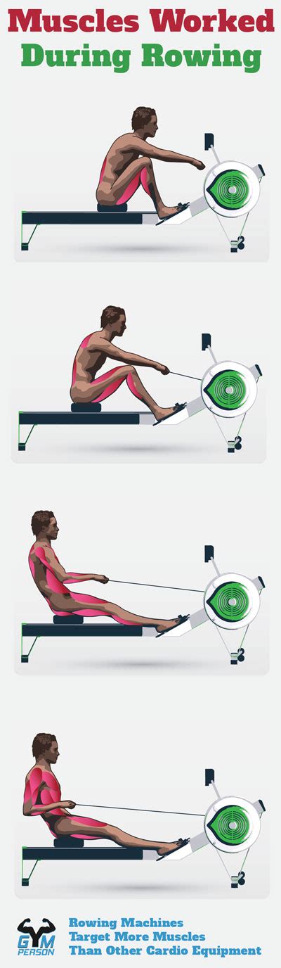 Best Rowing Machine for Home | Top 10 Rowers for Every Budget