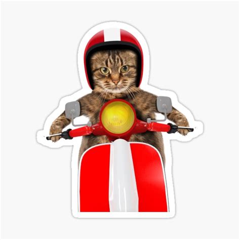 " hi funny cat meme" Sticker for Sale by OZMOclothing | Redbubble