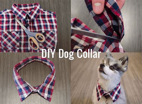 Adorable DIY Dog Collars to Make Walk Time Extra Stylish