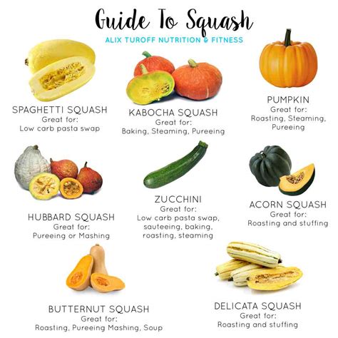 Winter Squash Identification Chart