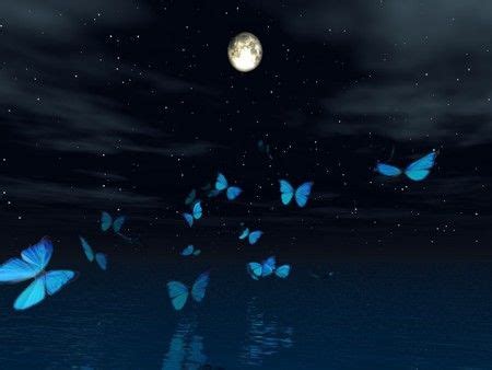 MOONLIGHT BUTTERFLY - Desktop Nexus Wallpapers | Good night moon ...