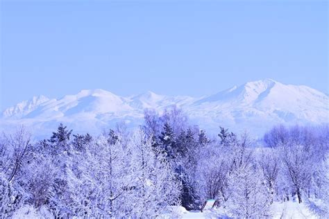 7-Day Hokkaido Winter Itinerary in December | Kyuhoshi