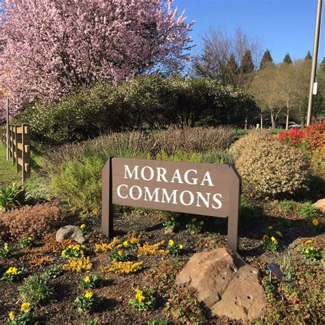 Moraga Commons Landscape Upgrades – Moraga Park Foundation