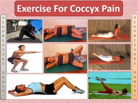 1000+ images about Coccyx Pain & Management on Pinterest | Memory foam, Pain d'epices and Sciatica