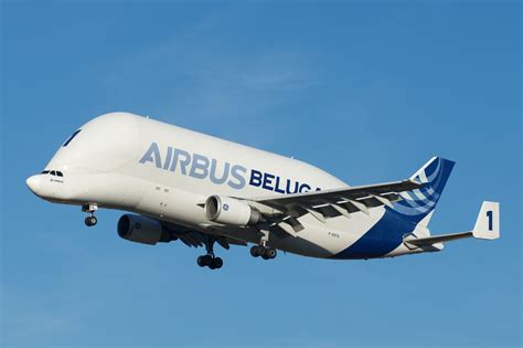 El Airbus A300-600ST "Beluga" aterrizó por primera vez en Latinoamérica - Aviacionline