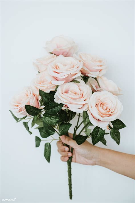 Download premium image of Hand holding a bouquet of light orange roses ...