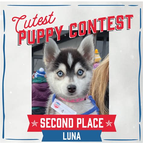 Cutest Puppy Contest — Klondike Dog Derby