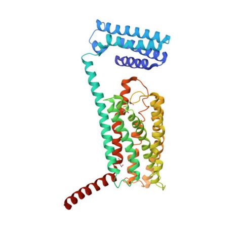 glucagon receptor | Glucagon receptor family | IUPHAR Guide to IMMUNOPHARMACOLOGY