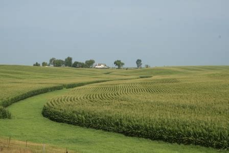 Cover Crops Increase Iowa Corn Yields - Plant Cover Crops