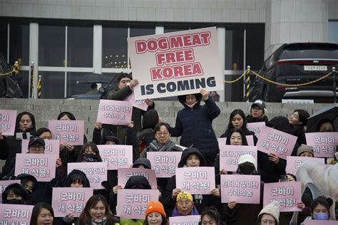 South Korea bans dog meat trade, International - THE BUSINESS TIMES