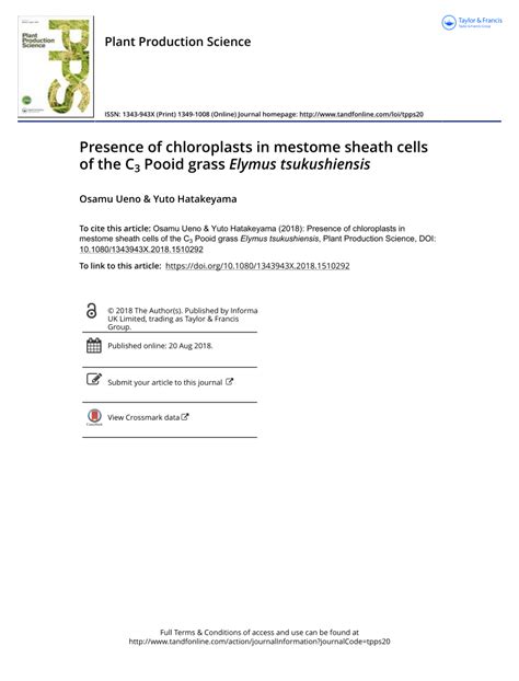 (PDF) Presence of chloroplasts in mestome sheath cells of the C 3 Pooid grass Elymus tsukushiensis