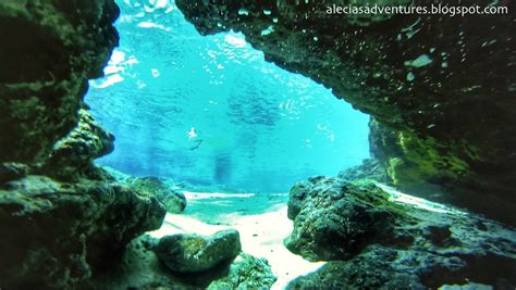 Ginnie Springs, Florida: Freshwater Diving - Alecia's Adventures