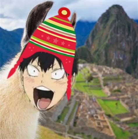 Peruvian Haikyuu Memes