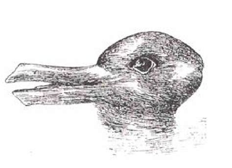 The Duck/Rabbit Drawing | Download Scientific Diagram