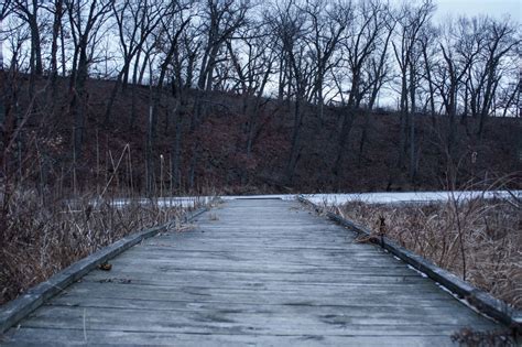 The Park Next Door - Stony Ridge Nature Trail