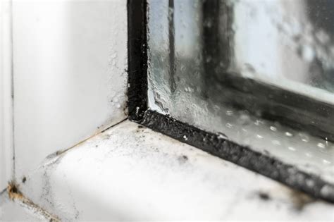 Window Condensation: Why It Matters, And How To Prevent It