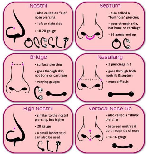 Different Types Of Nose Piercings