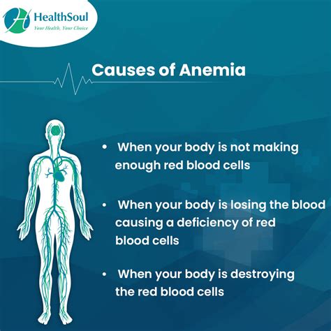 Anemia Causes