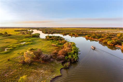 Wetland Experience - 1 Day Tour (May - Oct) - Wetland Cruises Reservations