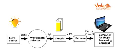 UV Visible Spectroscopy | Learn Important Terms and Concepts