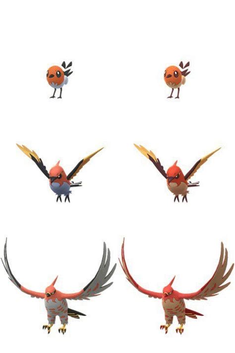 Pokemon Talonflame Evolution