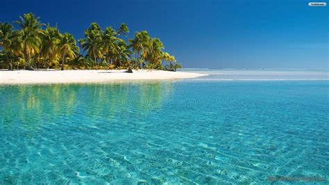 an island with palm trees and clear blue water