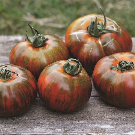 5 Heirloom Tomato Varieties that Embody the Essence of Summer - Happy Dirt