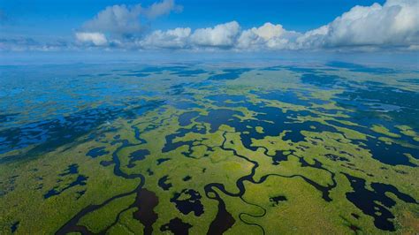 Everglades National Park Wallpapers - Wallpaper Cave