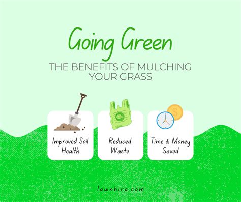 The Benefits of Mulching Your Grass - Lawnhiro Blog