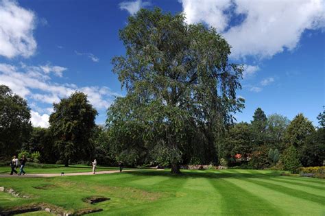 Garden of the Season - Palace of Holyroodhouse | Discover Scottish Gardens